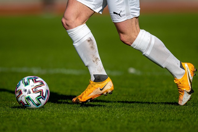 基的影响力 基的影响力